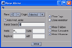    Bone Mirror